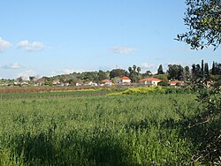 Aviel2011-1.jpg