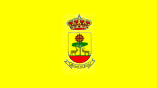 Bandera de Solana del Pino