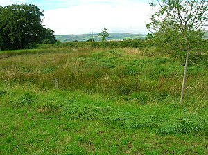 The Baney Hole near Windyhouse Farm. Baney Hole at Windyhouse.JPG