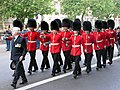 Irish Guards wear "bearskins" during a ceremony in London - 2005