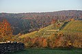 Beilstein - Billensbach - Blick vom Feldweg nach Maad auf Platz an der Birke - Herbst 002.jpg