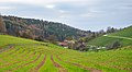 * Nomination Striped meadow in the winding valley of Klingen, Beilstein, Germany. --Aristeas 16:14, 22 June 2021 (UTC) * Promotion  Support Good quality. --Jakubhal 04:22, 23 June 2021 (UTC)