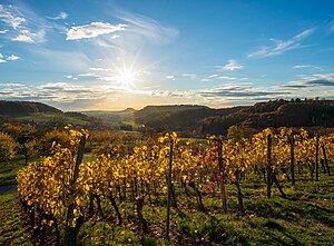 26. Platz: Roman Eisele mit Blick aus den Weinbergen im November westlich vom Teilort Maad - Beilstein (Württemberg) - auf das Schmidbachtal. Die auf dem Bild sichtbare Mischung von Wiesen, Weinbergen und Wald ist typisch für das Landschaftsschutzgebiet. Im Hintergrund ist Schmidhausen erkennbar.