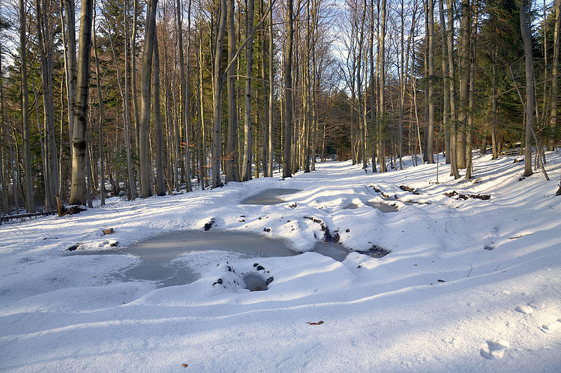 File:Beskid Wyspowy in March 2016.JPG