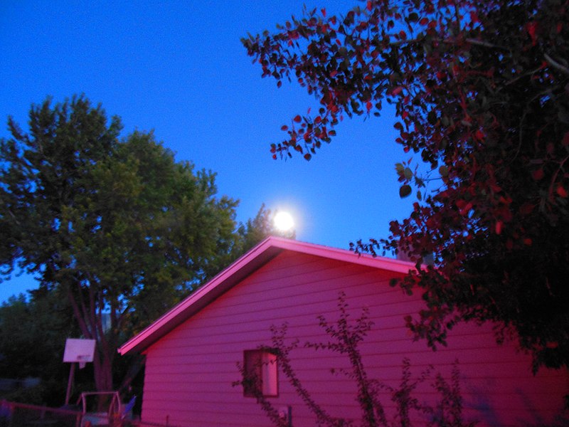 File:Big Moon at night (9103767447).jpg