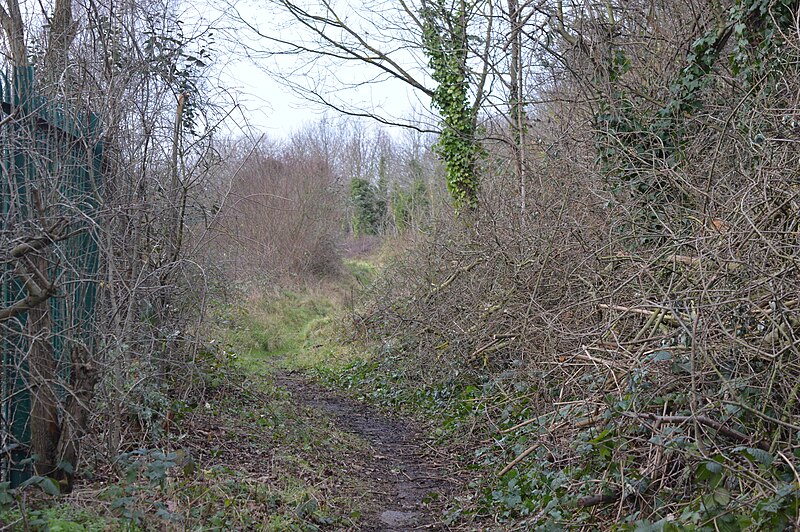 File:Birdbrook Road Nature Reserve 1.JPG