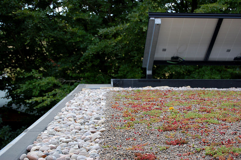 File:Bisley Green Shop roof 1.jpg