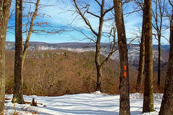 Black Forest Trail Drop-Off.jpg