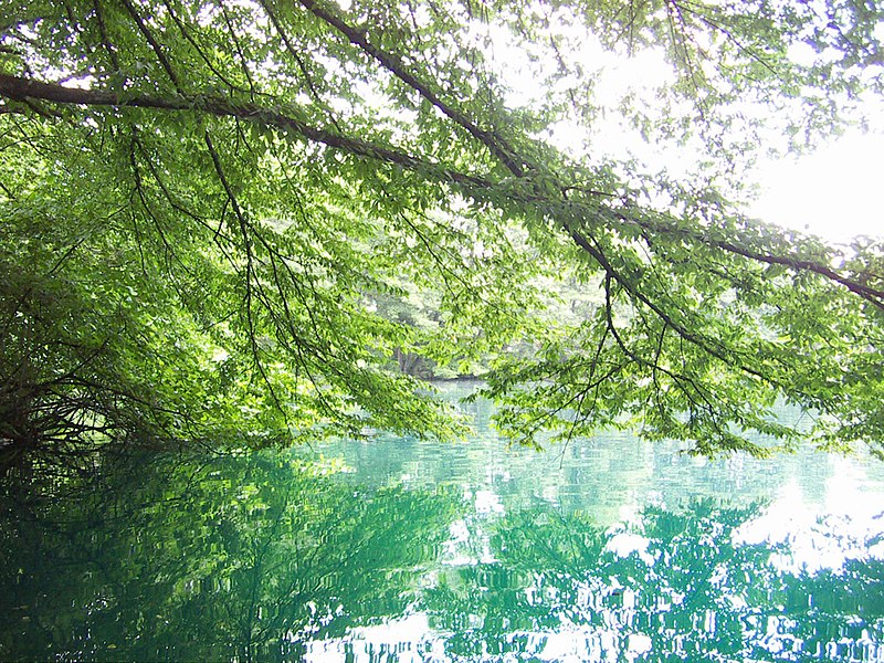 صورة:Blue Lakes, Kabardino-Balkaria, Russia.jpg