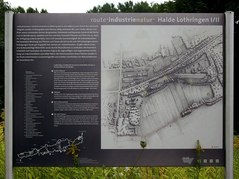 File:Bochum - Halde Lothringen 01 ies.jpg