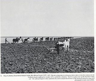 <span class="mw-page-title-main">Bonanza farms</span> Very large farms established in the United States during the late nineteenth century