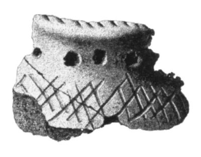 A pottery shard showing the characteristic pits, from Uppland, Sweden