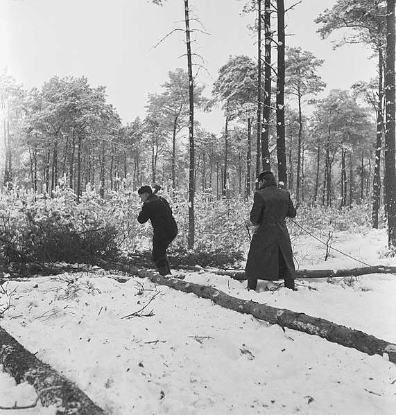 File:Bosbewerking, arbeiders, werkzaamheden, touwen, sneeuw, Bestanddeelnr 251-8358.jpg