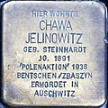 wikimedia_commons=File:Braunschweig Georg-Eckert-Straße Stolperstein Chawa Jelinowitz.jpg image=File:Braunschweig Georg-Eckert-Straße Stolperstein Chawa Jelinowitz.jpg