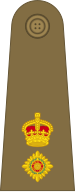 Britische Armee (1920-1953) OF-4.svg