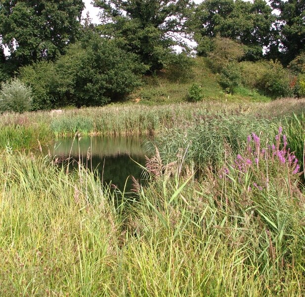 File:Broadland Business Park - the lake - geograph.org.uk - 5529010.jpg