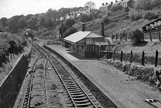 <span class="mw-page-title-main">Brynamman West railway station</span> Disused railway station in Brynamman, Carmarthenshire