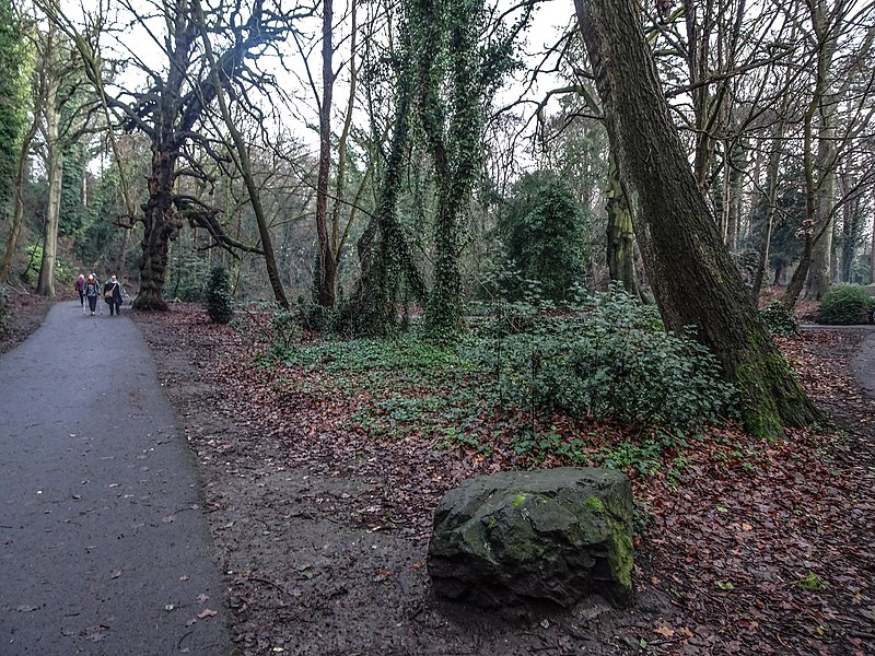 File:Bushy Park, Dublin -146431 (45565113755).jpg