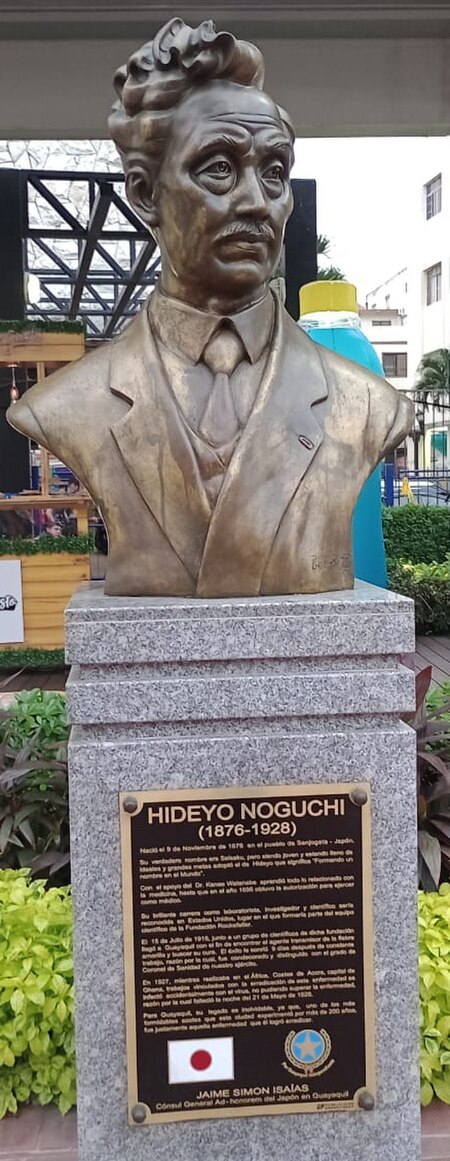 The bust of the Japanese scientist and doctor Hideyo Noguchi was inaugurated on June 22, 2018 outside the Crystal Palace in Guayaquil