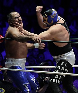 <span class="mw-page-title-main">Blue Panther</span> Mexican professional wrestler