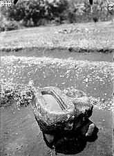 Ett megalitiskt tråg, direkt urhugget ur en sten, i Indonesien (1931).