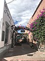 Camino con arcos de flores en Tequisquiapan.jpg