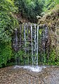 * Nomination Yayanes Park Waterfall, Lemuy Island. --Rjcastillo 01:23, 25 February 2024 (UTC) * Promotion  Support Good quality. --Plozessor 05:11, 25 February 2024 (UTC)