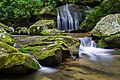 Cascade On Clover Patch Creek (116619481).jpeg