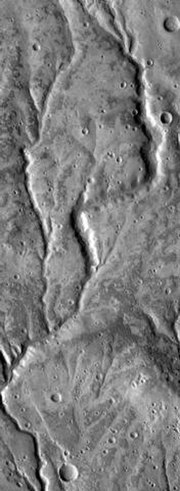 Part of a valley network near Warrego Valles, seen by THEMIS. Length of image is roughly 50 km.