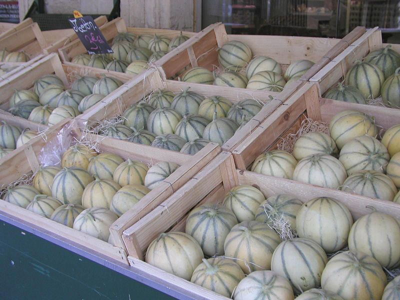 File:Charentais melons.jpg