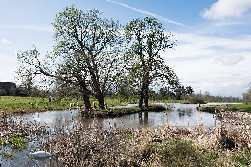 File:Charlecote Park - the lake.jpg