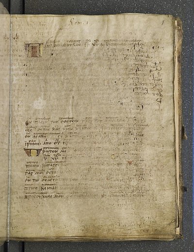 Codex Boernerianus