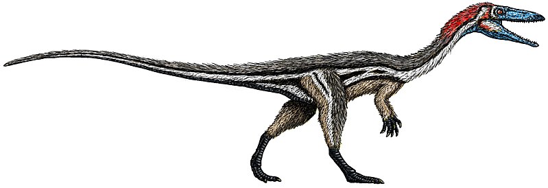 Deinonychus, Wiki