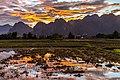 Colorful sky with orange clouds reflecting in the water of a paddy field and mountains, at sunset, Vang Vieng, Laos.jpg