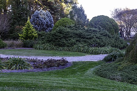 Conifer Garden NBG