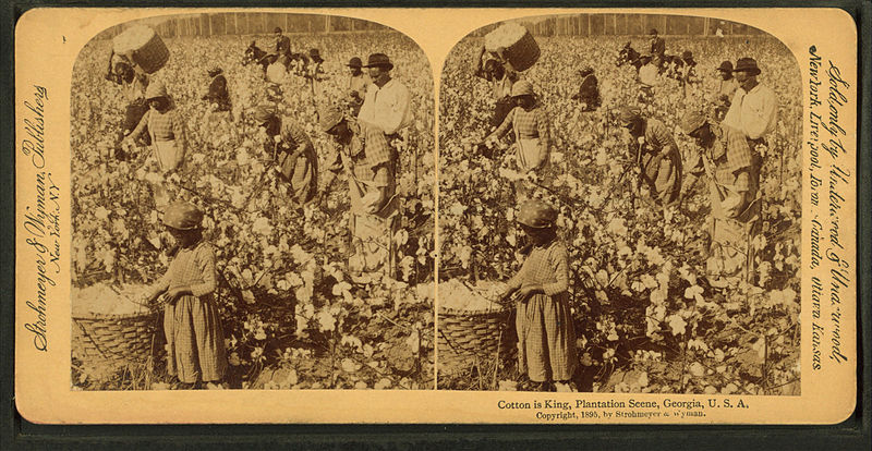 File:Cotton is king - A plantation scene, Georgia, by Strohmeyer & Wyman 2.jpg