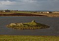 wikimedia_commons=File:Crannog - Loch of Wasdale - geograph.org.uk - 3279733.jpg