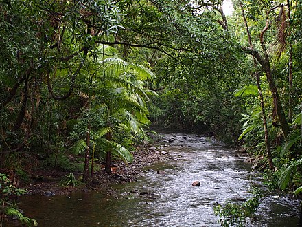 A view from Madja boardwalk