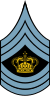 Danish Airforce OR-9a Sleeve.svg