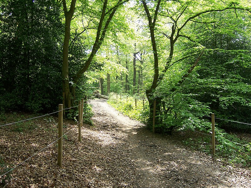 File:David Brough Cycle Trail, Bayhurst Wood.JPG