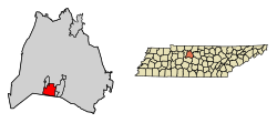 Location of Forest Hills in Davidson County, Tennessee.