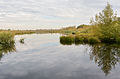 * Nomination Landscape at De Groote Peel National Park (Netherlands) with pond Meerbaansblaak --Tuxyso 18:58, 4 October 2015 (UTC) * Promotion Good quality. --Isiwal 15:19, 5 October 2015 (UTC)