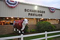 Delaware State Fair - 2012 (7681705146).jpg