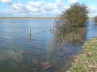 <span class="mw-page-title-main">Nene Washes</span> Wetland in Cambridgeshire, England