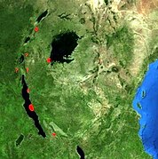 Distribution Piliocolobus tephrosceles.jpg