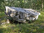 Dolmen fourques basses brengues.jpg