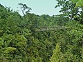 Dominica, Karibik - Suspension Bridge in the Rainforest - panoramio (1).jpg