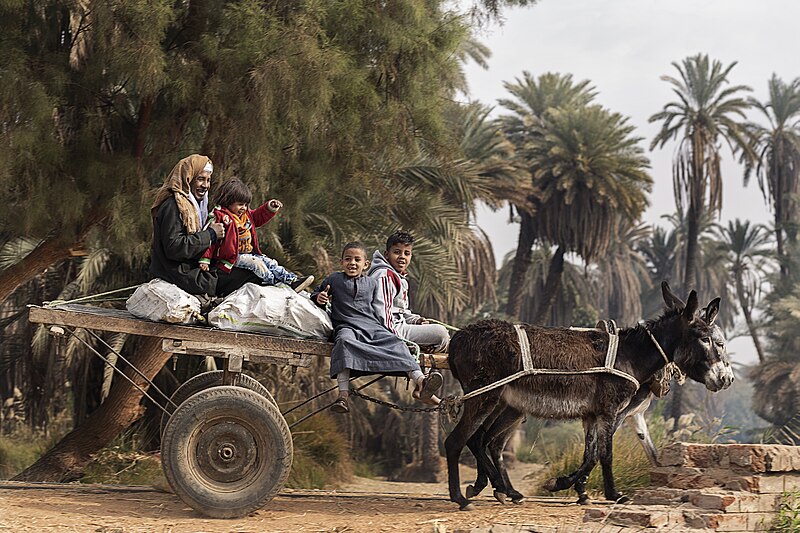 File:Donkey-drawn cart in Aswan 2019 with a man and three children.jpg