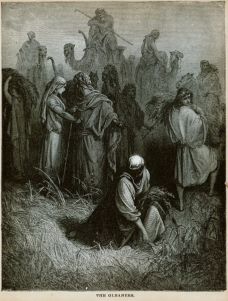 File:Dore Bible The Gleaners.jpg