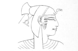 A királyné képe sírjában (Petrie rajza)
